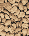 Roasted Coffee Beans