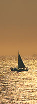 Sailboat in sunset
